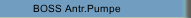 BOSS Antr.Pumpe 